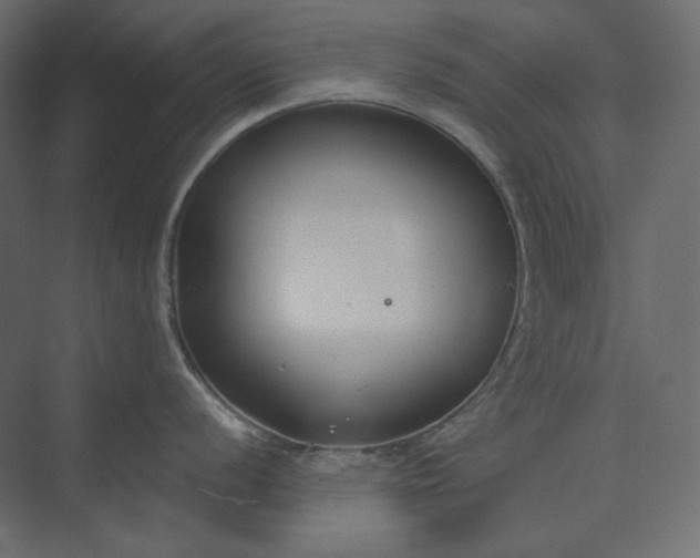 X0000073901056200608251452