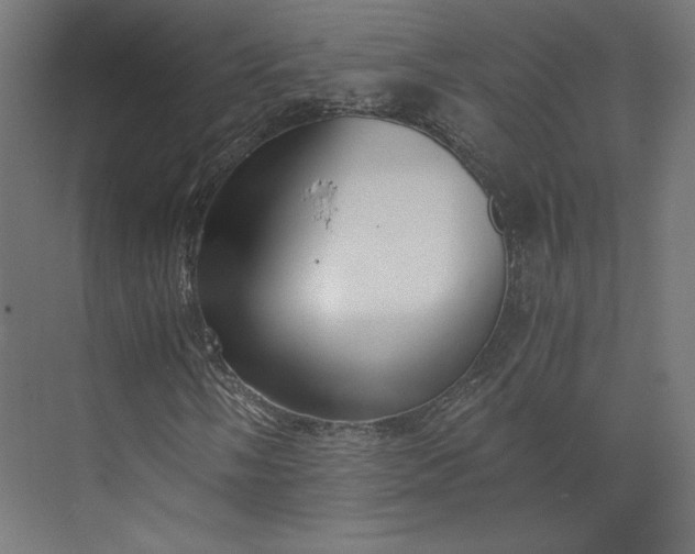 X0000073901058200608251451