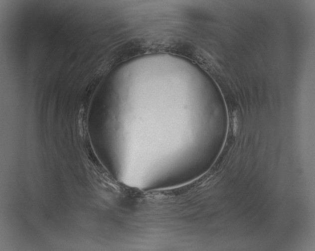 X0000073901059200608251451