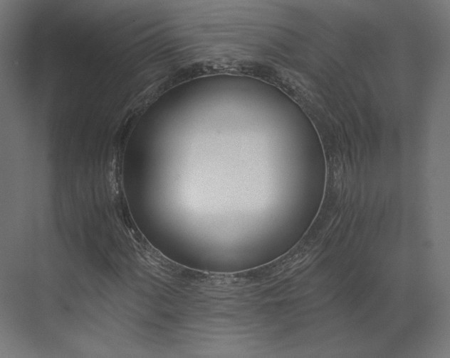 X0000073901060200608251451