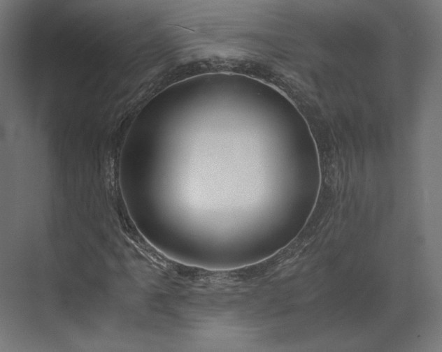 X0000073901061200608251451