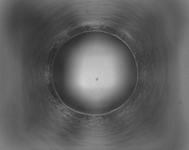 X0000073901062200608251451