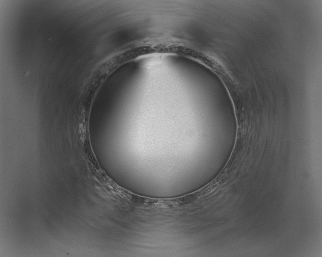 X0000073901063200608251451