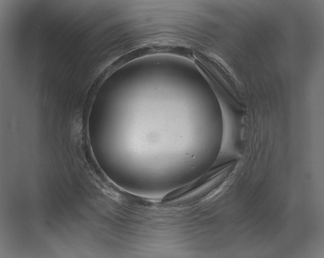 X0000073901065200608251451