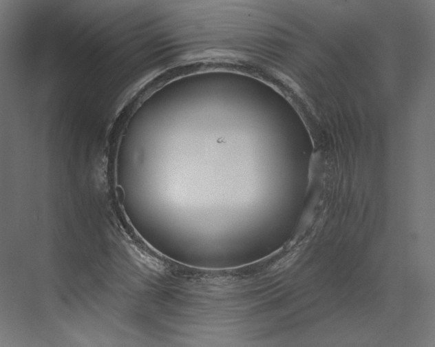 X0000073901066200608251451