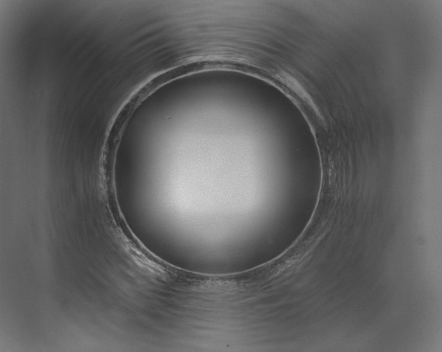 X0000073901068200608251451