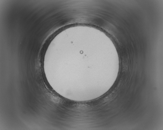 X0000073901070200608251451