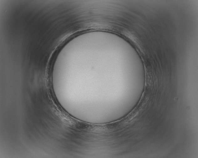 X0000073901074200608251451