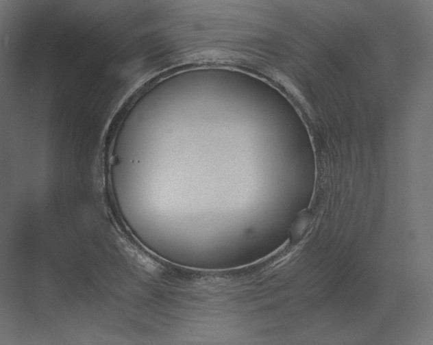 X0000073901075200608251451