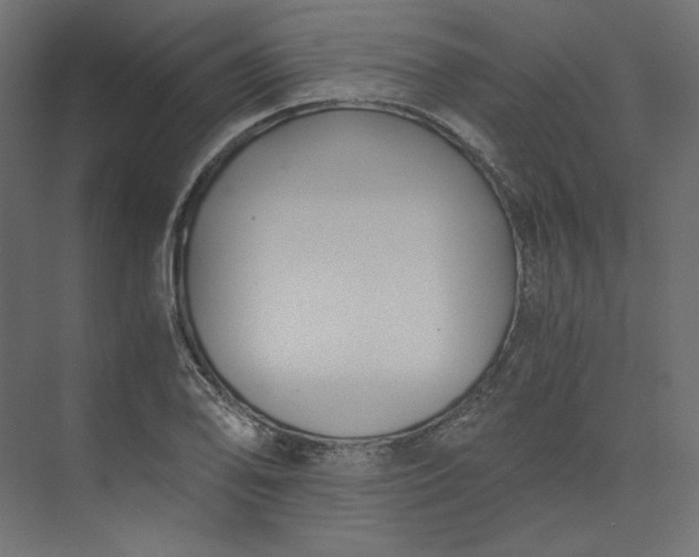 X0000073901078200608251451