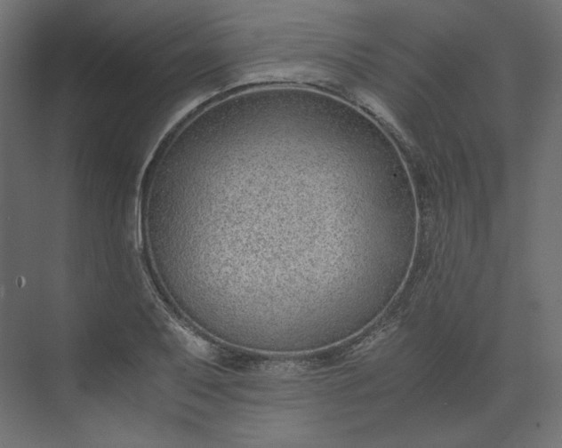 X0000073901079200608251451