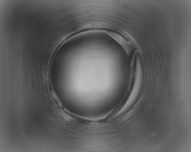 X0000073901081200608251451