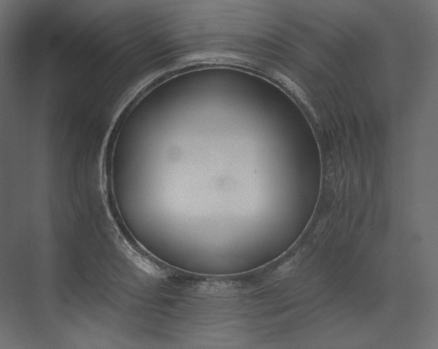 X0000073901082200608251451