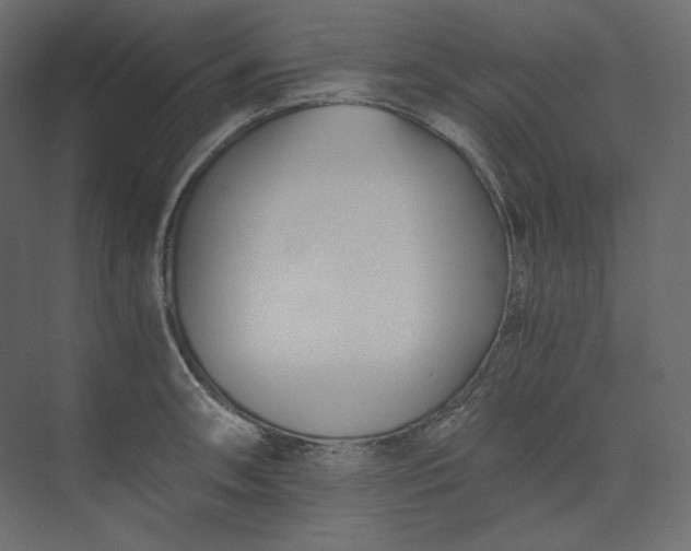 X0000073901090200608251451