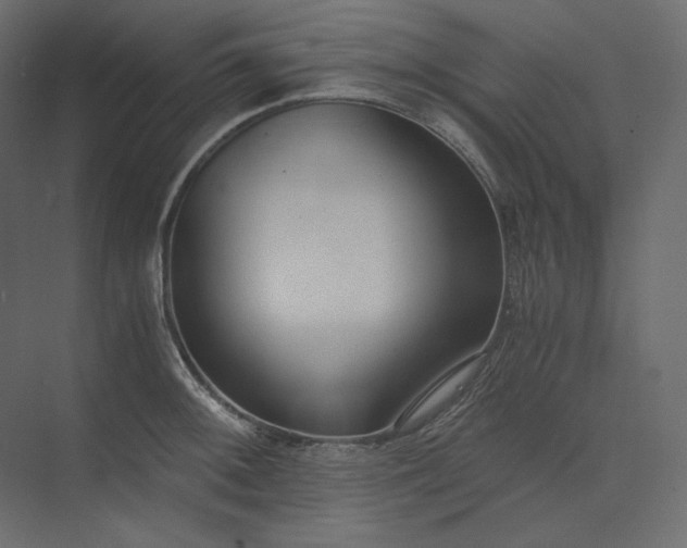 X0000073901092200608251451