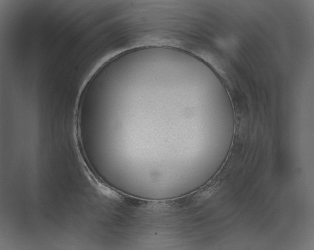 X0000073901094200608251451