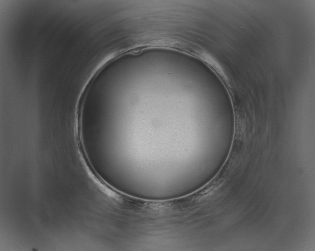 X0000073901095200608251451