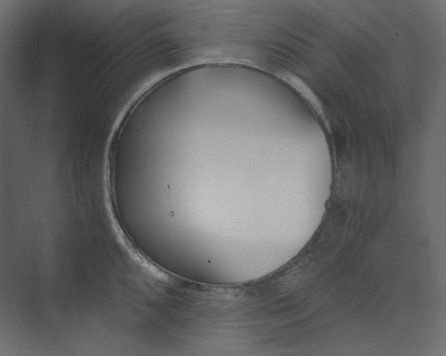 X0000073901096200608251451