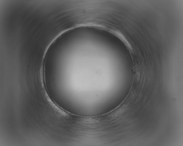 X0000073901100200608251451