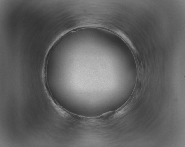 X0000073901101200608251451