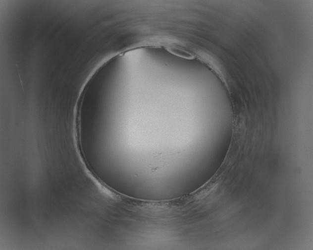 X0000073901103200608251451