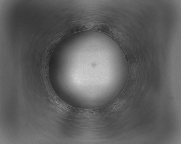 X0000073901105200608251450