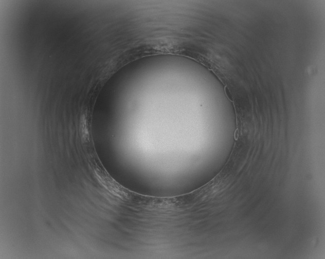 X0000073901106200608251450