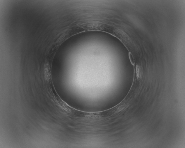 X0000073901107200608251450