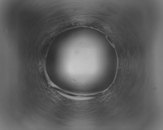 X0000073901109200608251450