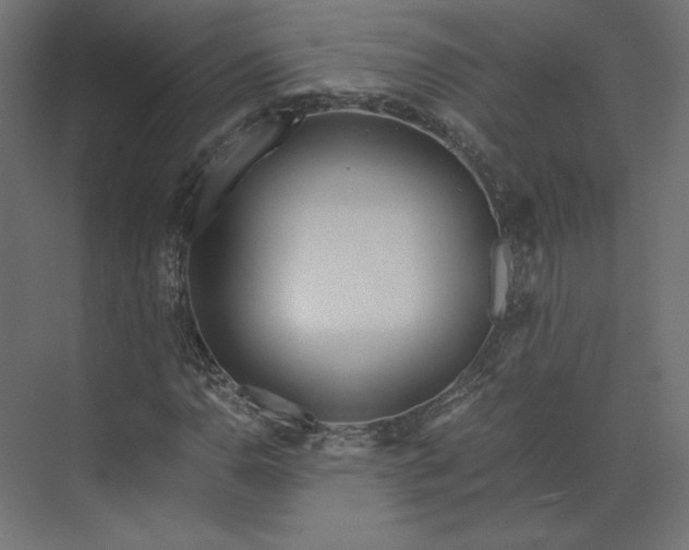 X0000073901110200608251450