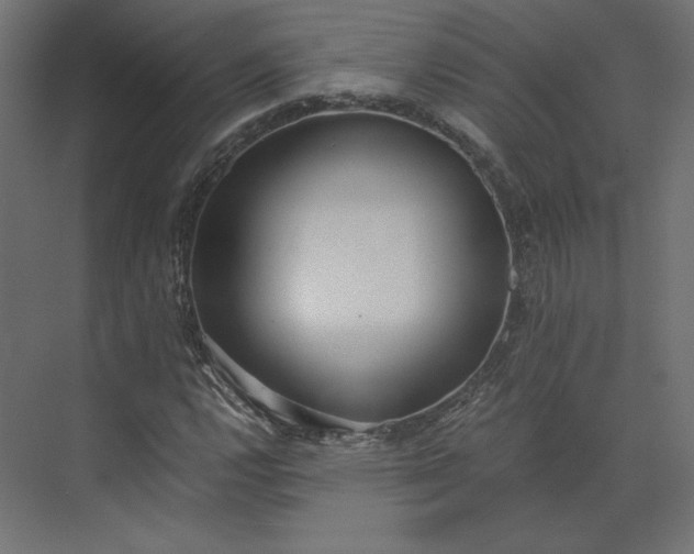 X0000073901112200608251450