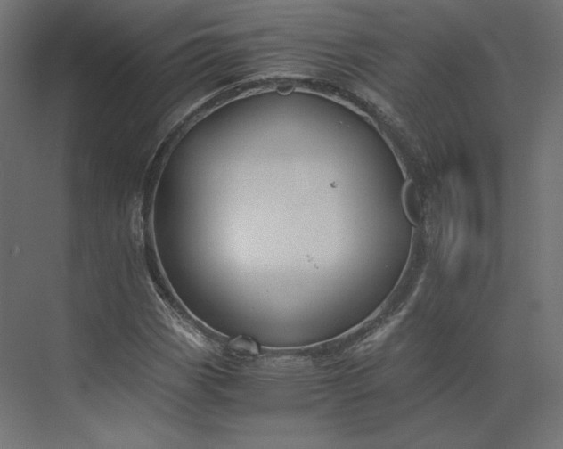 X0000073901113200608251450