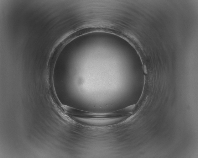 X0000073901114200608251450