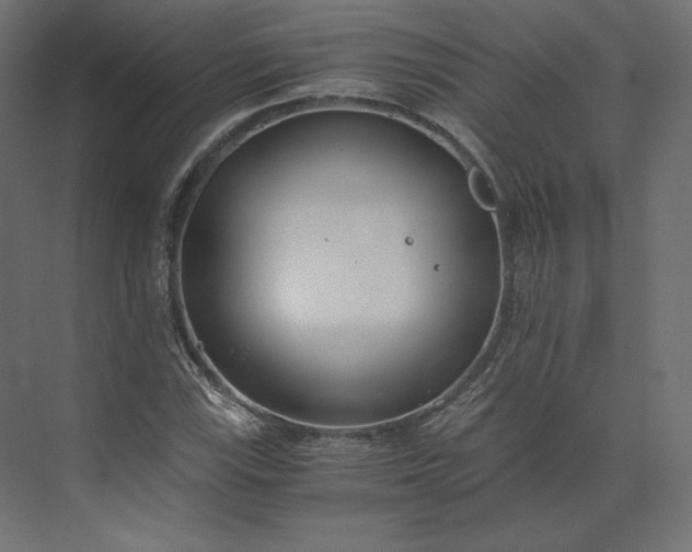 X0000073901115200608251450