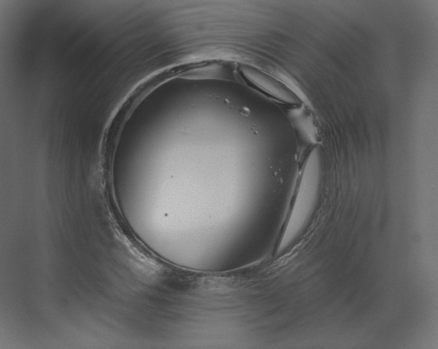 X0000073901116200608251450