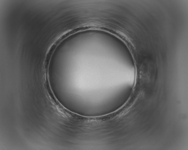 X0000073901117200608251450