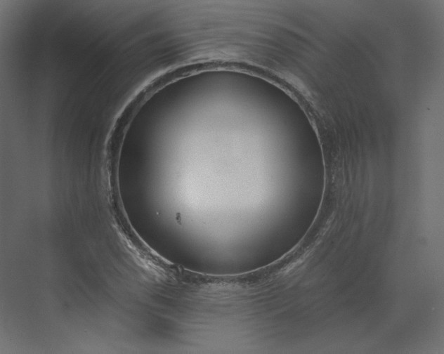 X0000073901118200608251450