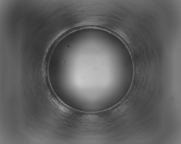 X0000073901119200608251450