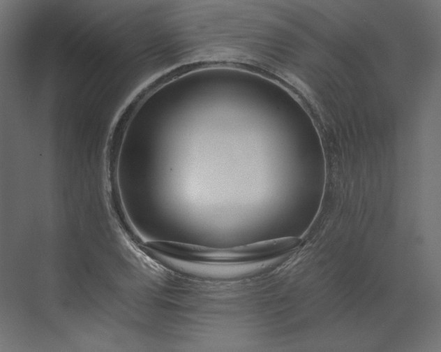 X0000073901120200608251450