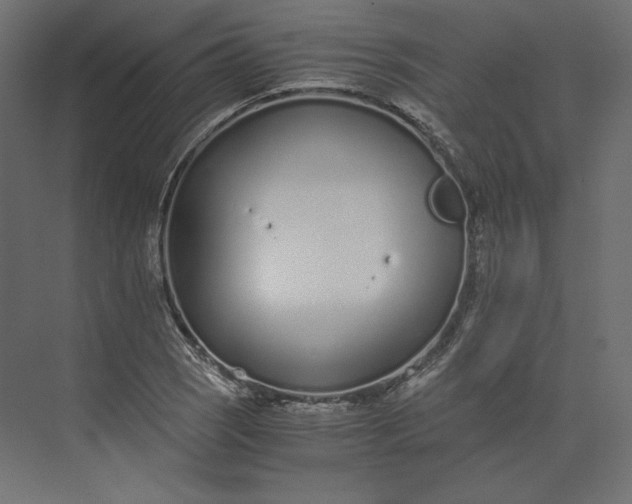 X0000073901121200608251450