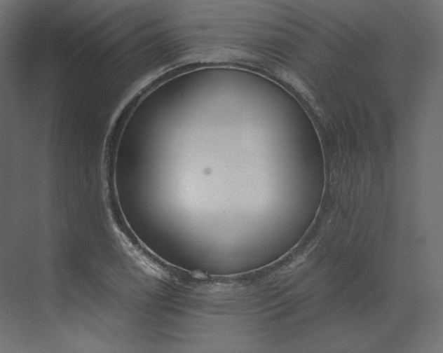 X0000073901122200608251450