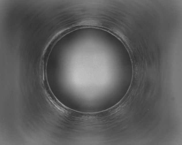 X0000073901123200608251450