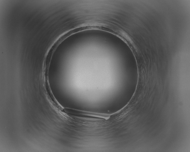 X0000073901124200608251450