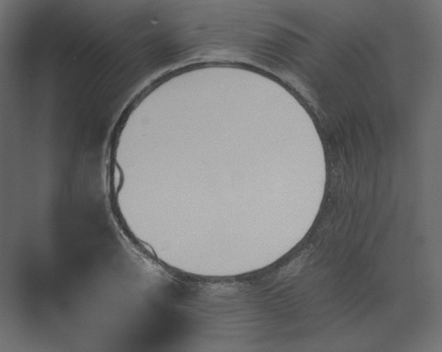 X0000073901126200608251450