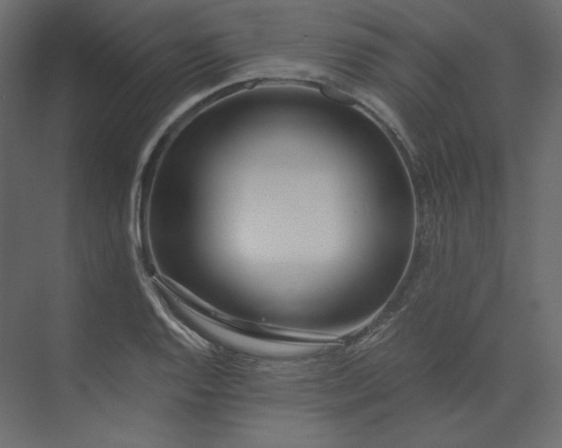 X0000073901128200608251450