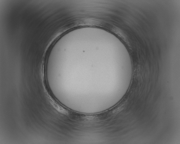 X0000073901130200608251450