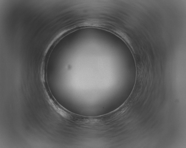 X0000073901131200608251450