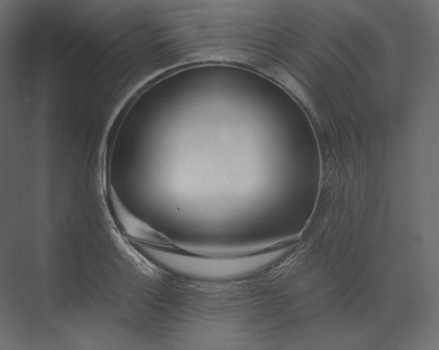 X0000073901132200608251450