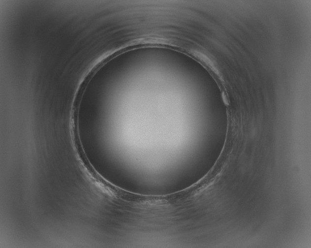 X0000073901133200608251450