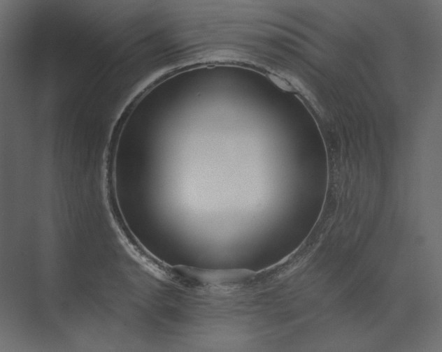 X0000073901134200608251450